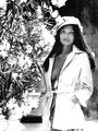 Лаура Гемсер

Laura Gemser