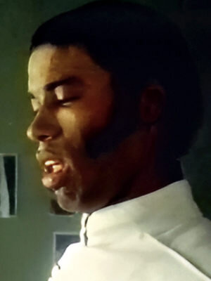 Трейси Фонте