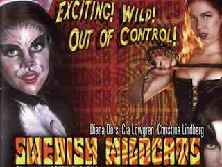 Дикие кошки из Швеции (1972)