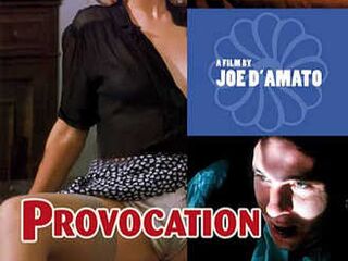 Порок и провокация (1996)