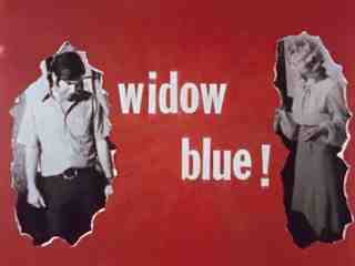 Голубая вдова (1970)
