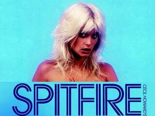 Вспыльчивый человек (1984)