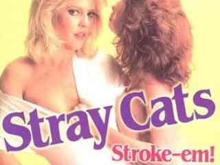 Бродячие кошки (1984)