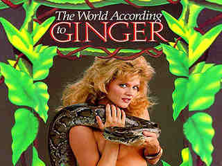 Происхождение мира по версии Джинжер (1986)