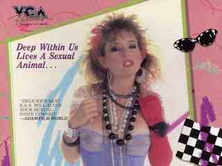 Сексуально изменённые Штаты (1985)