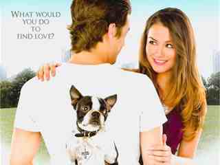 Потерянный и найденный (2011)