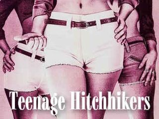 Девушки-попутчицы (1974)