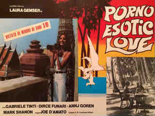 Экзотическая любовь (1980)