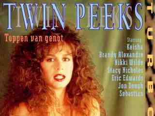 Твин Пикс (1991)