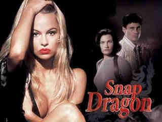 Знак дракона (1993)