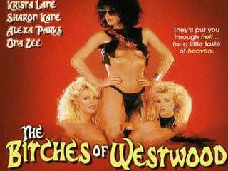 Эротическое очарование (1988)