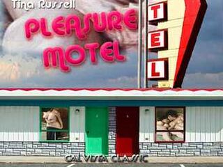 Мотель удовольствия (1973)