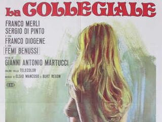 Институтка (1975)