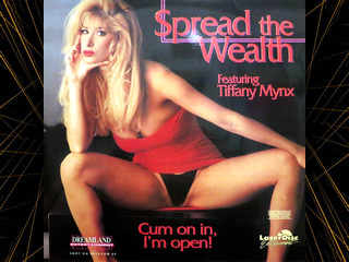 В поисках богатства (1994)