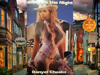 Принеси ночь (1994)