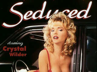 Соблазнённый (1993)