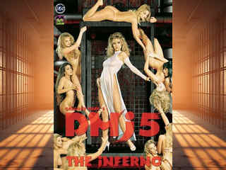 Дьявол в Мисс Джонс 5: Инферно (1995)