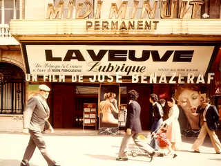 Похотливая вдова (1974)